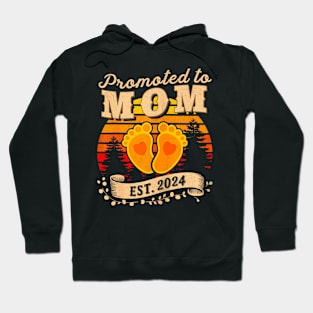 Promoted to Mom Est 2024 New Mommy Mother's Day Hoodie